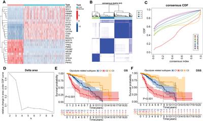 Heterogeneity in clinical prognosis, immune infiltration and molecular characteristics of three glycolytic subtypes in lower-grade gliomas